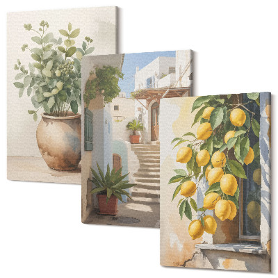 Zestaw obrazów na płótnie tryptyk Rośliny w donicach i cytryny na tle uliczki