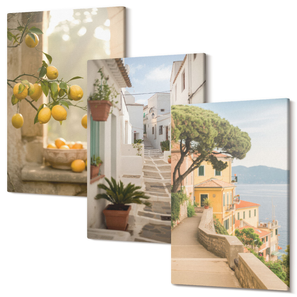 Zestaw obrazów tryptyk na ścianę Drzewo cytrusowe widok z okna i architektura nadmorska