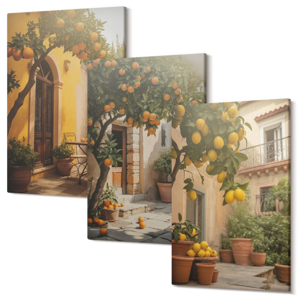 Zestaw obrazów na płótnie tryptyk Słoneczne patio z drzewami cytrusowymi i doniczkami