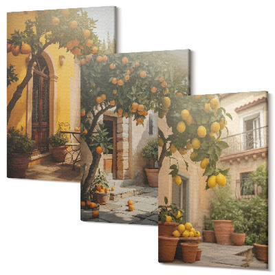 Zestaw obrazów na płótnie tryptyk Słoneczne patio z drzewami cytrusowymi i doniczkami