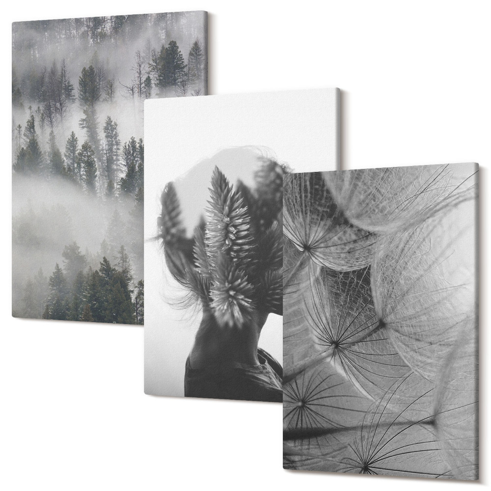 Zestaw obrazów na płótnie tryptyk Las we mgle portret z drzewami delikatny dmuchawiec