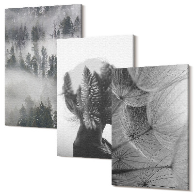 Zestaw obrazów na płótnie tryptyk Las we mgle portret z drzewami delikatny dmuchawiec