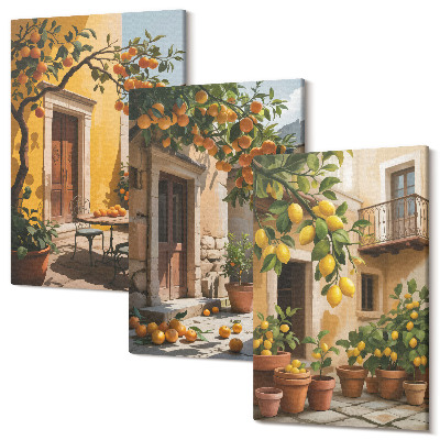 Zestaw obrazów tryptyk na ścianę Owoce cytrusowe w słonecznym dziedzińcu z roślinami