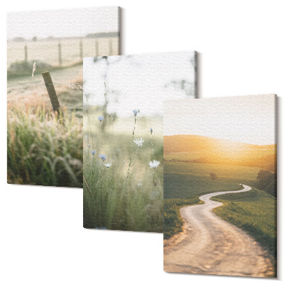 Zestaw obrazów tryptyk na ścianę Krajobraz z łąką drogą i zachodem słońca