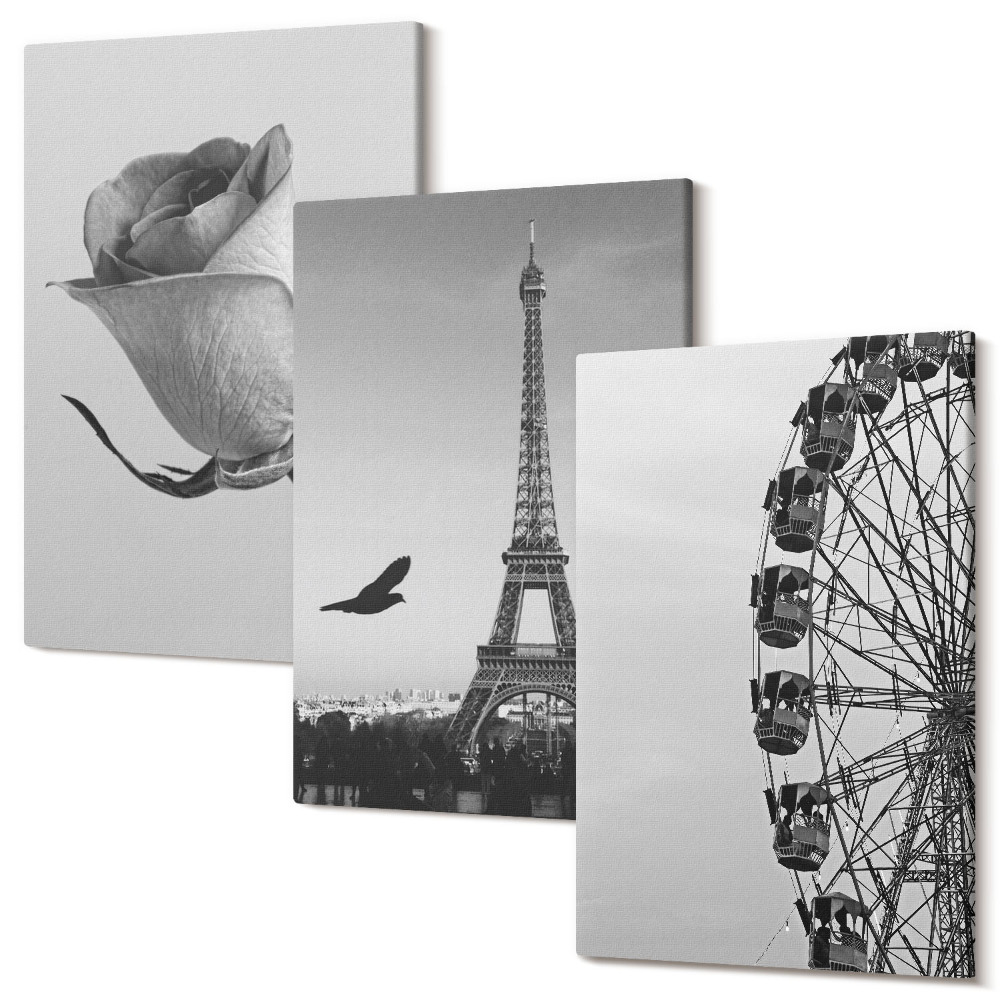 Zestaw obrazów 3 części tryptyk Róża wieża Eiffla i diabelski młyn w monochromie
