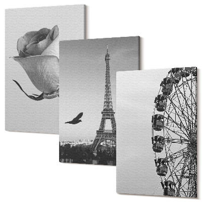 Zestaw obrazów 3 części tryptyk Róża wieża Eiffla i diabelski młyn w monochromie