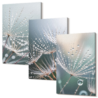 Zestaw obrazów tryptyk na ścianę Krople wody na delikatnych pędach dmuchawców