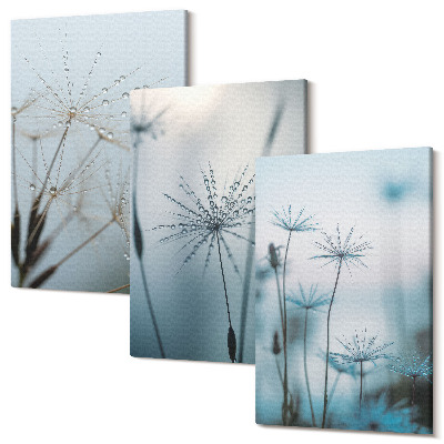 Zestaw obrazów na płótnie tryptyk Delikatne dmuchawce z kroplami wody