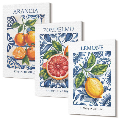 Zestaw obrazów 3 części tryptyk Cytrusy w stylu włoskim modne postery