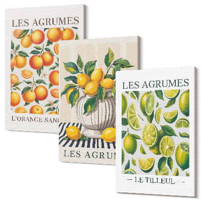 Zestaw obrazów tryptyk na ścianę Cytrusy w różnych odsłonach kolorowych i świeżych