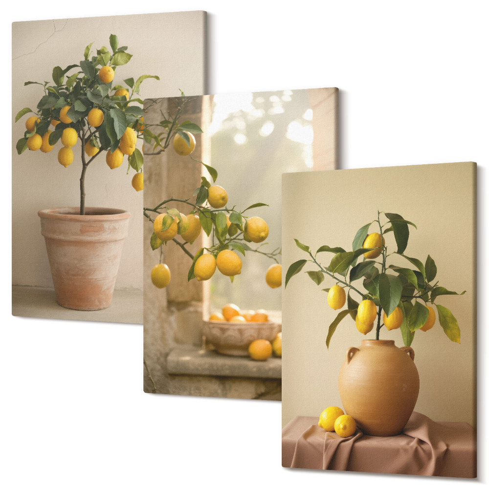 Zestaw obrazów 3 części tryptyk Cytrynowe drzewka w donicach i na oknie