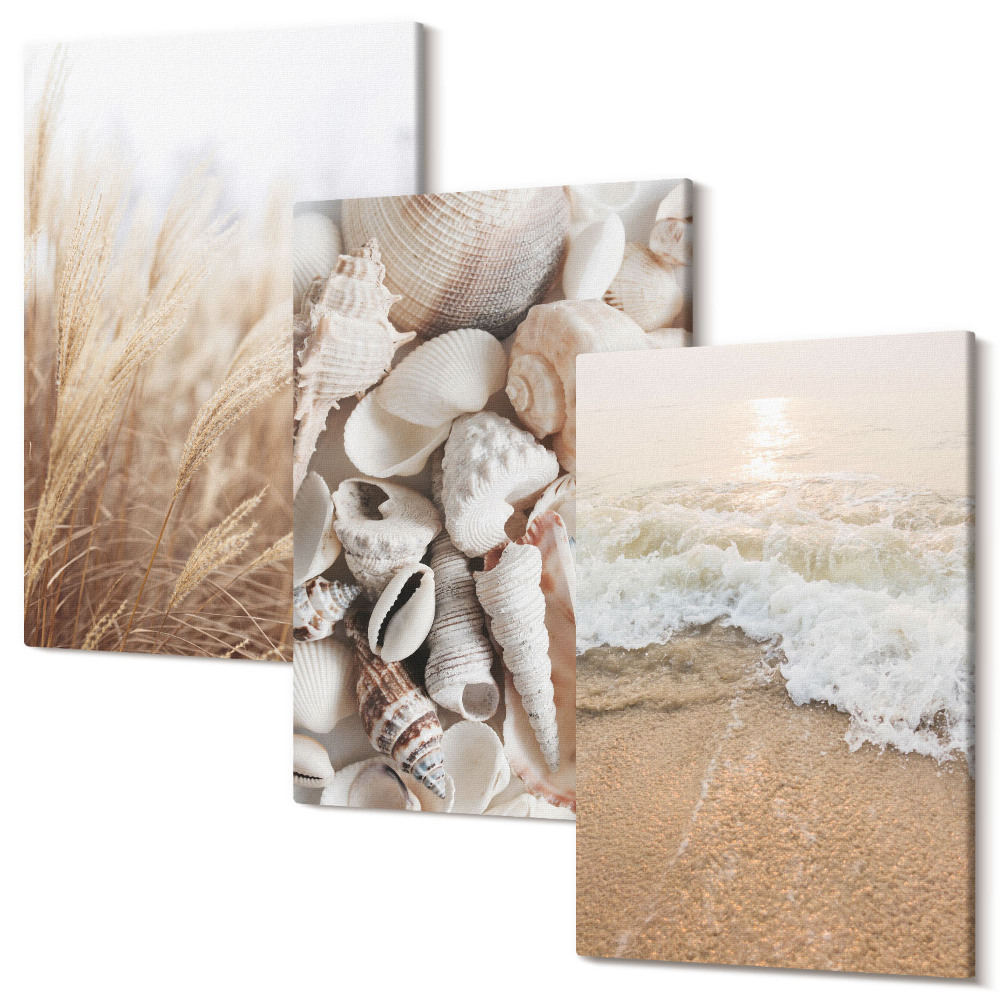 Zestaw obrazów tryptyk na ścianę Motywy plażowe z muszlami i falami morskimi