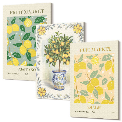 Zestaw obrazów 3 części tryptyk Drzewo cytrusowe i owoce postery włoskie