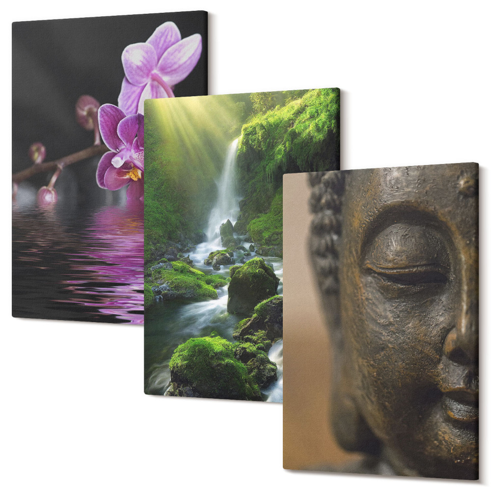 Zestaw obrazów 3 części tryptyk Kwiaty w wodzie wodospad z zielonymi skałami Budda