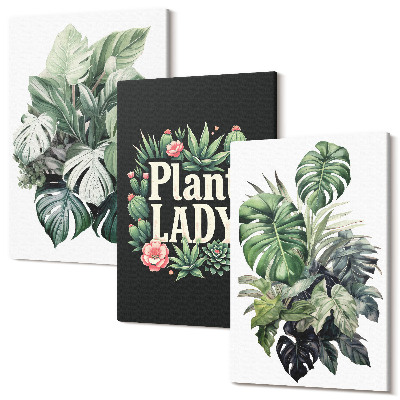 Zestaw obrazów 3 części tryptyk Rośliny tropikalne z napisem Plant Lady w zieleni