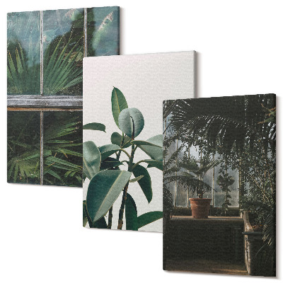 Zestaw obrazów 3 części tryptyk Zielone liście w oknie i rośliny w wnętrzu