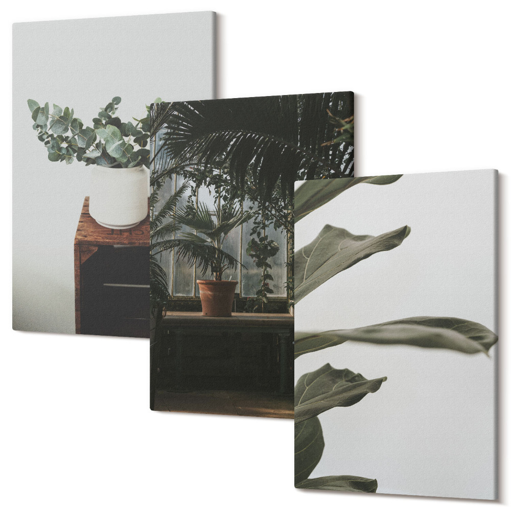Zestaw obrazów 3 części tryptyk Rośliny w doniczkach liście w rustykalnym stylu