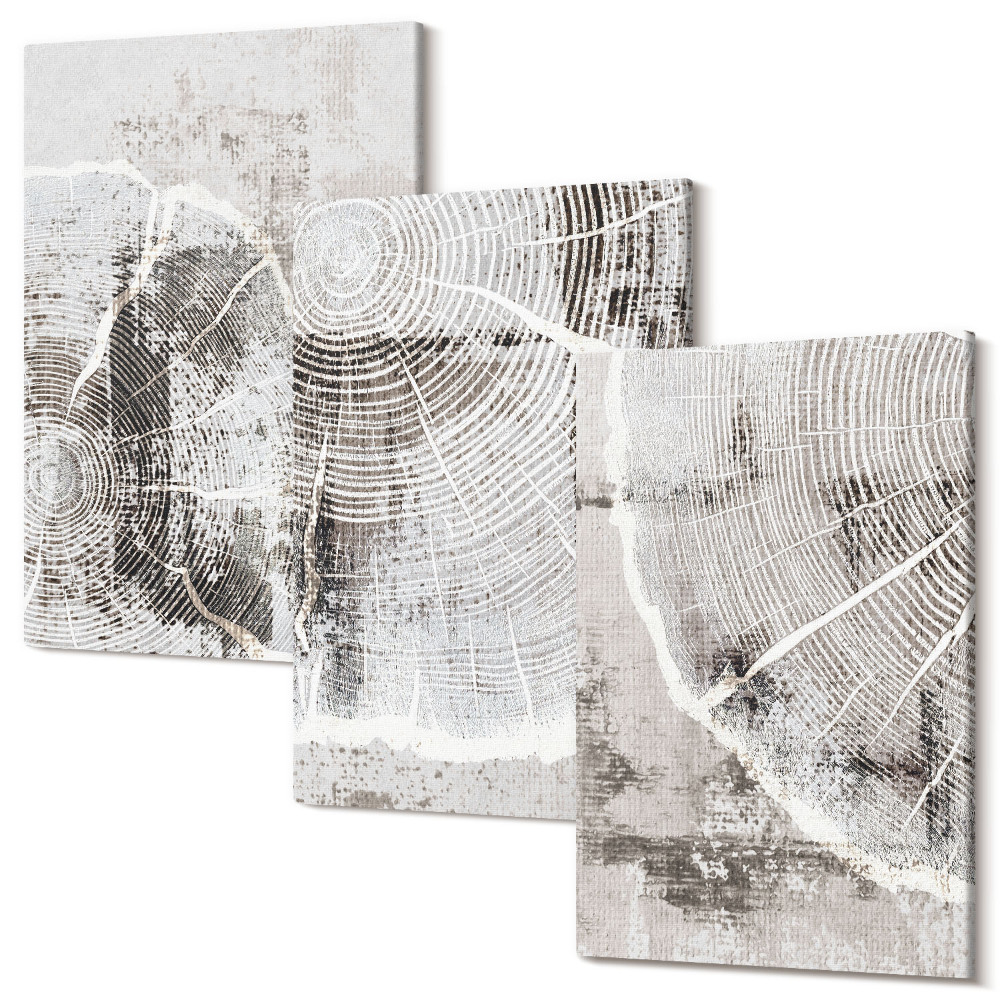 Zestaw obrazów tryptyk na ścianę Wzory słojów drewna w odcieniach szarości i bieli