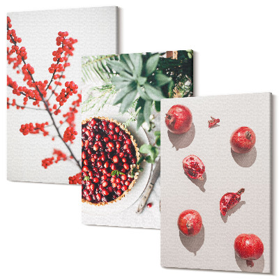 Zestaw obrazów 3 części tryptyk Czerwone owoce i rośliny w minimalistycznym stylu