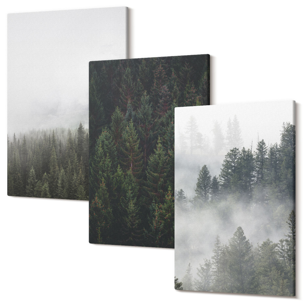 Zestaw obrazów tryptyk na ścianę Zielone lasy w mglistym otoczeniu natury