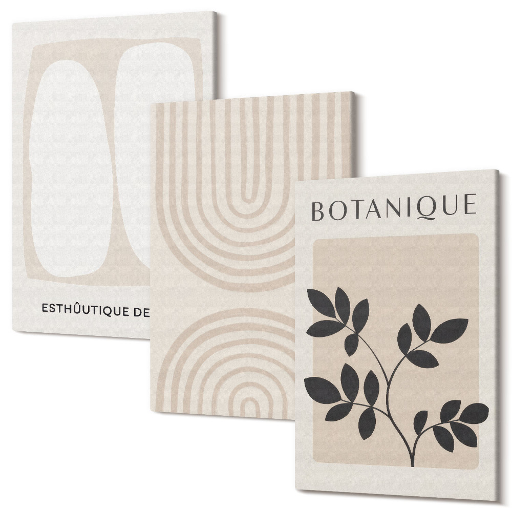 Zestaw obrazów na płótnie tryptyk Boho delikatne postery abstrakcja motywy roślinne