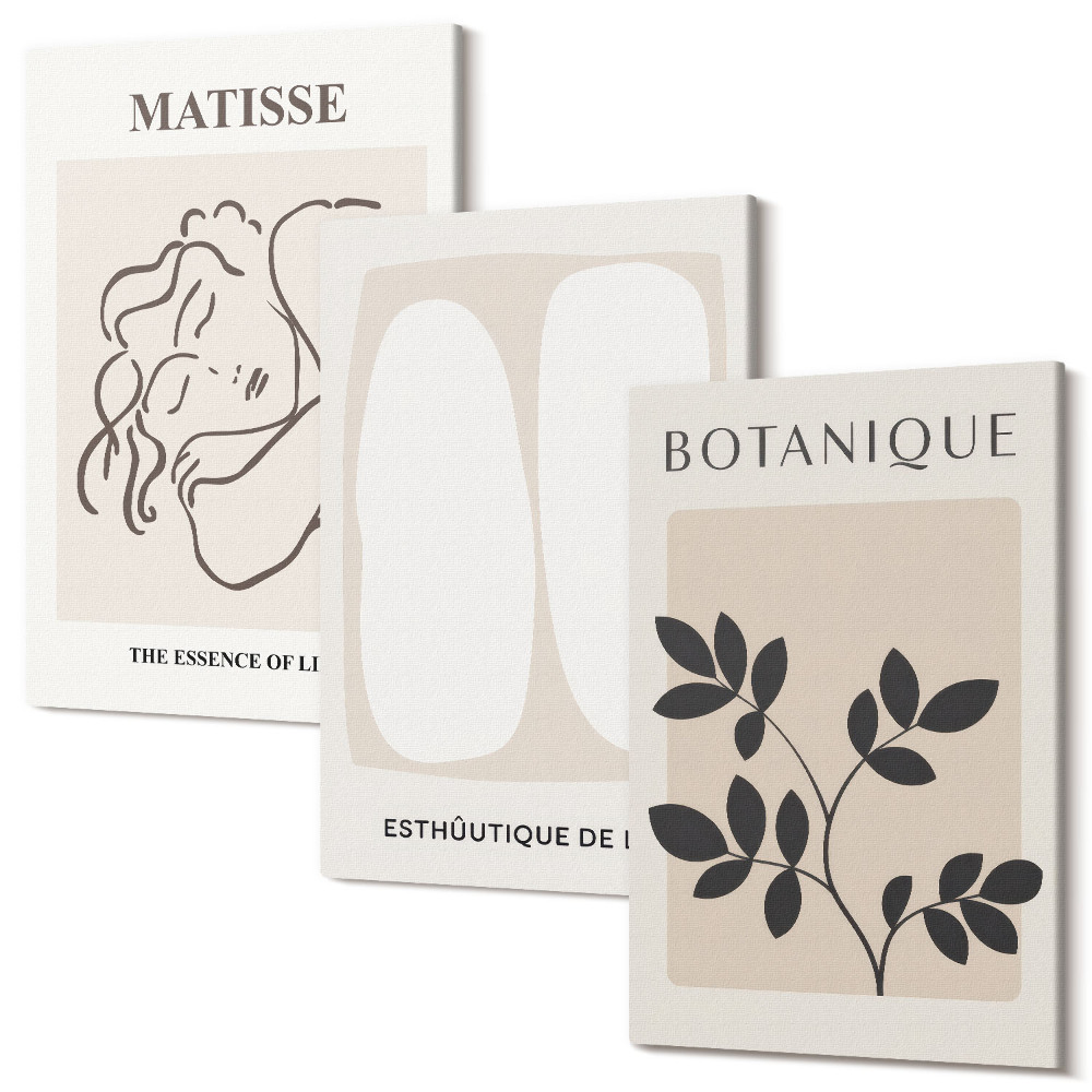 Zestaw obrazów 3 części tryptyk Stylowe minimalistyczne obrazy z motywami roślinnymi Matisse