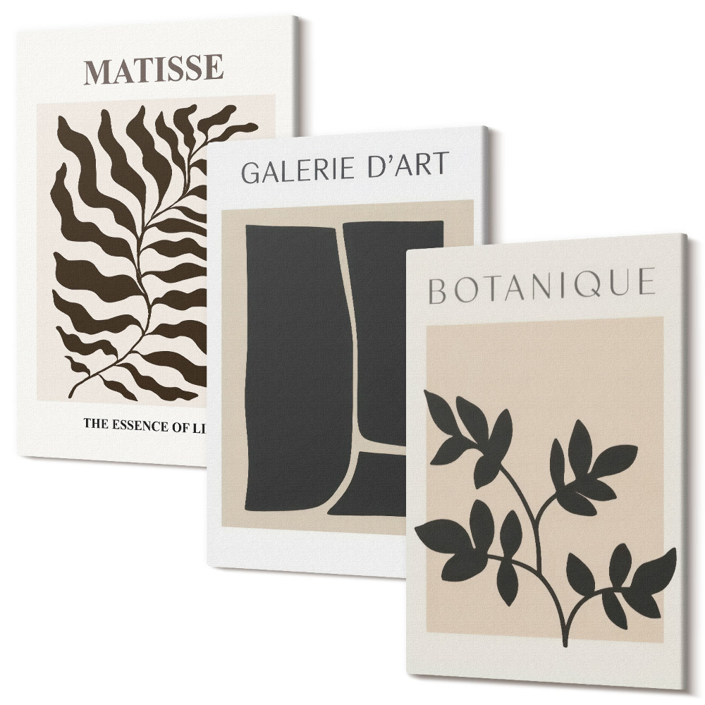 Zestaw obrazów na płótnie tryptyk Minimalistyczne postery wzory roślinne abstrakcje