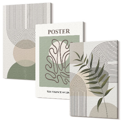 Zestaw obrazów 3 części tryptyk Geometryczne abstrakcje botaniczne wzory poster