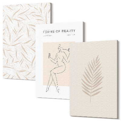 Zestaw obrazów 3 części tryptyk Motywy minimalistycznym stylu botaniczne wzornictwo