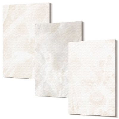 Zestaw obrazów tryptyk na ścianę Struktura eleganckiego marmuru kamienne tło