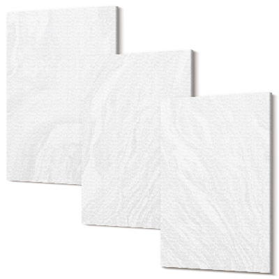 Zestaw obrazów tryptyk na ścianę Elegancki marmur linearna struktura kamienna