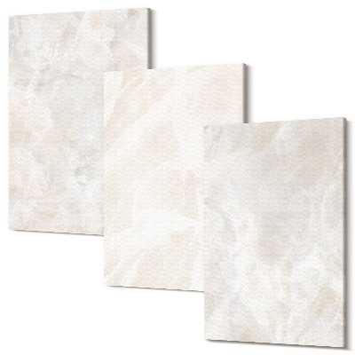 Zestaw obrazów tryptyk na ścianę Kamienne pastelowe struktury białego marmuru