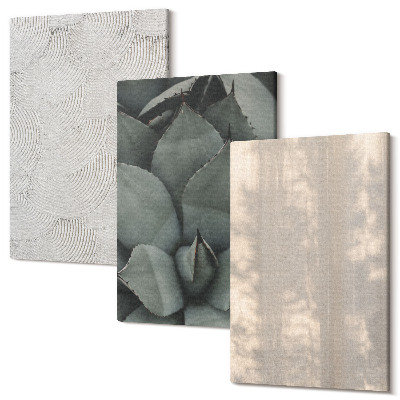 Zestaw obrazów tryptyk na ścianę Letnie tekstury zbliżenia w tropikalnym klimacie