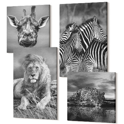 Zestaw obrazów na płótnie kwadryptyk Dzikie zwierzęta lew jaguar żyrafa i zebry