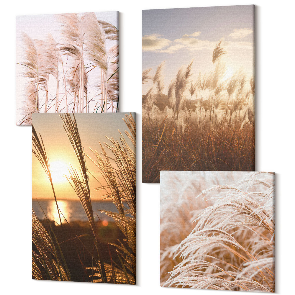 Zestaw obrazów 4 części kwadryptyk Delikatne trawy boho pola o zachodzie słońca