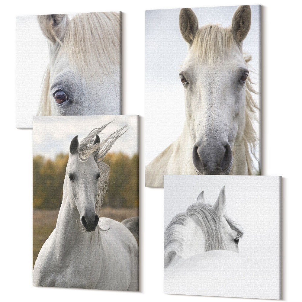 Zestaw obrazów na płótnie kwadryptyk Białe konie w różnych pozach na tle natury