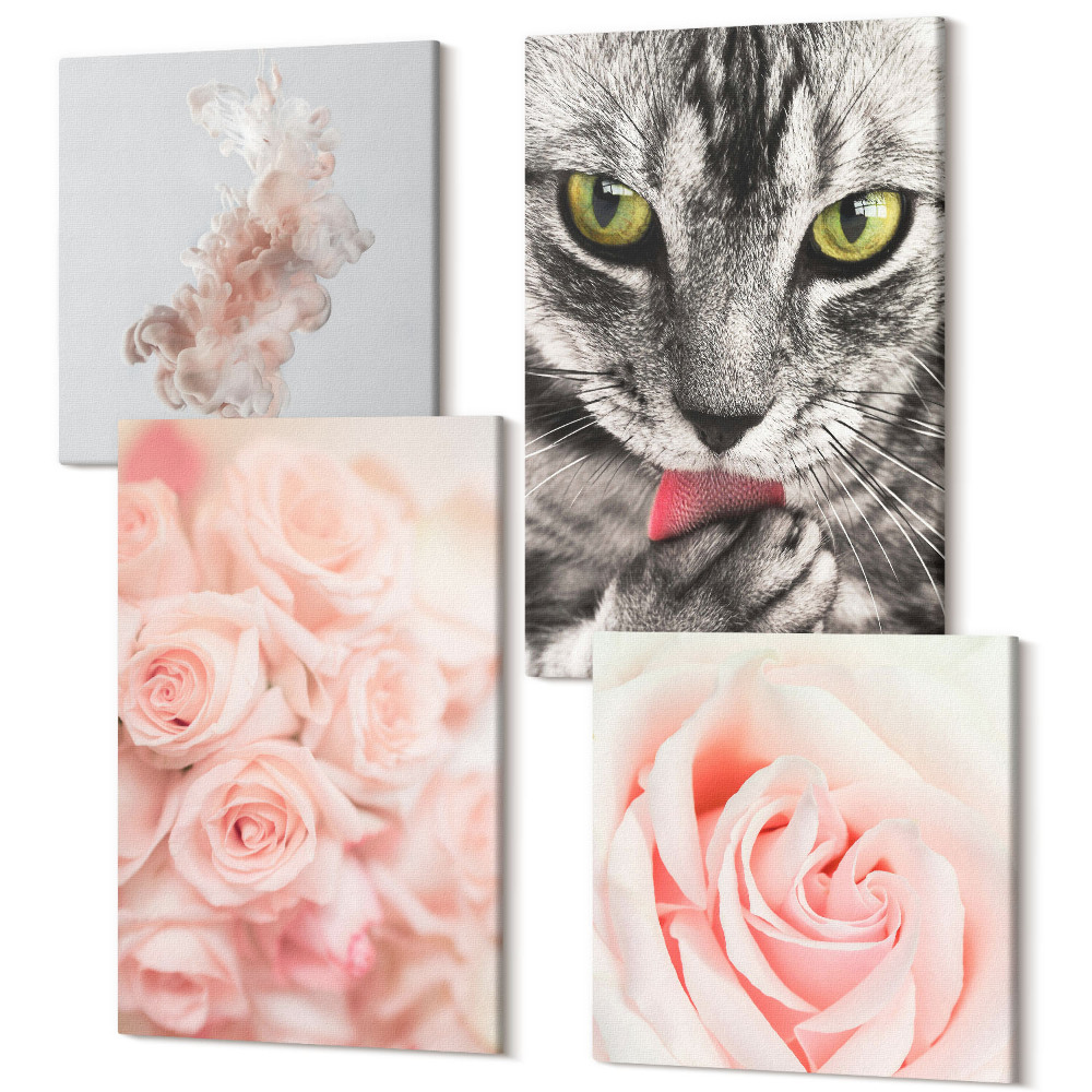 Zestaw obrazów na płótnie kwadryptyk Szary kot delikatne róże subtelna abstrakcja