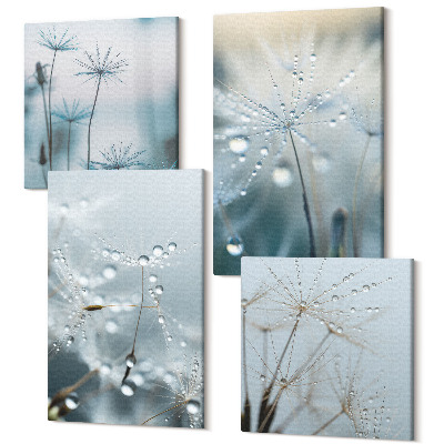 Zestaw obrazów 4 części kwadryptyk Krople rosy na delikatnych dmuchawcach