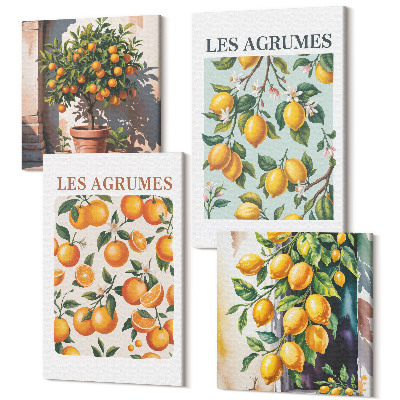 Zestaw obrazów 4 części kwadryptyk Owocowe wzory cytrusów w pastelowych kolorach