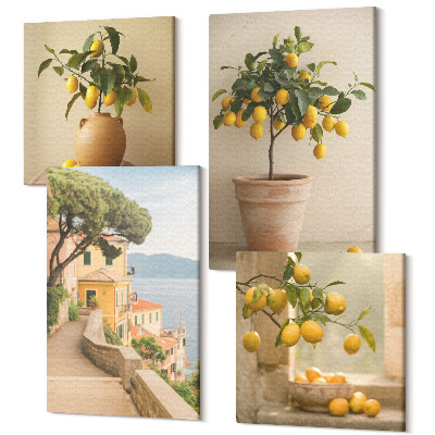 Zestaw obrazów 4 części kwadryptyk Cytrynowe drzewka w donicach i na oknie