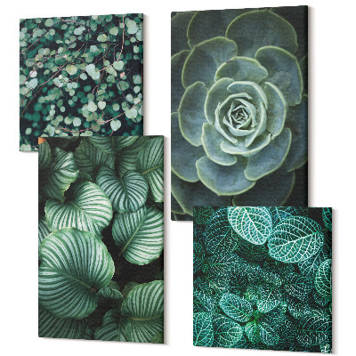 Zestaw obrazów na płótnie kwadryptyk Zielone liście roślin sukulentów i delikatnych gałązek