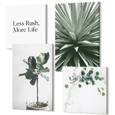 Zestaw obrazów kwadryptyk na ścianę Zielone rośliny w minimalistycznym stylu napis