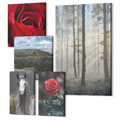 Zestaw obrazów na płótnie pentaptyk Przyroda i kwiaty w różnych ujęciach i stylach