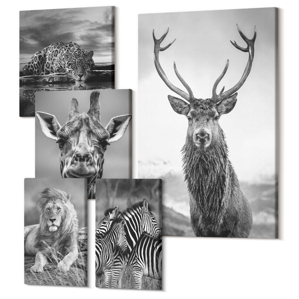 Zestaw obrazów na płótnie pentaptyk Zwierzęta w czerni i bieli z natury i dzikiej przyrody