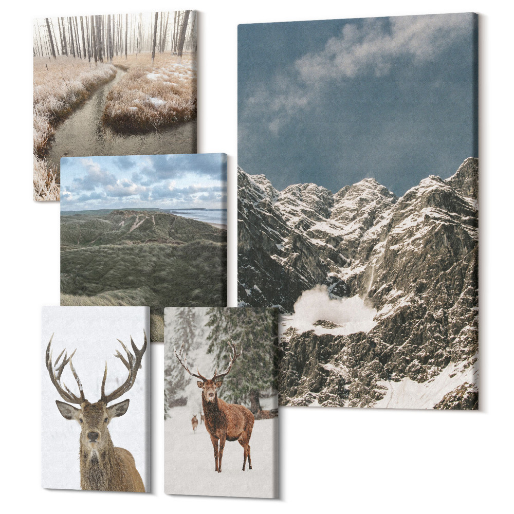 Zestaw obrazów na płótnie pentaptyk Dzika natura i majestatyczne krajobrazy górskie