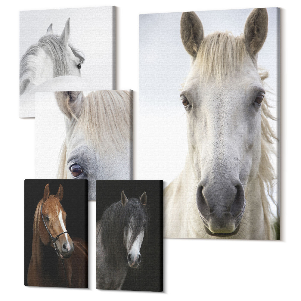 Zestaw obrazów 5 części pentaptyk Portrety koni w różnych ujęciach i stylach artystycznych
