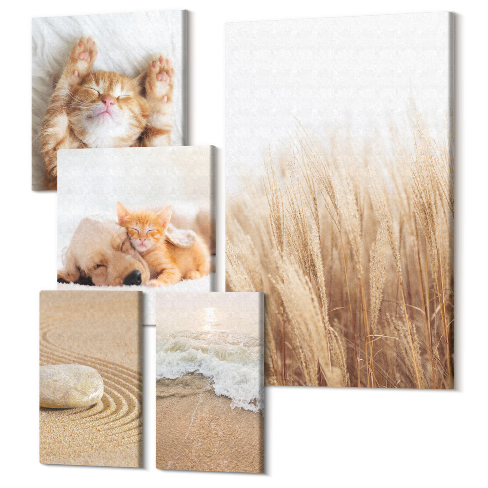 Zestaw obrazów pentaptyk na ścianę Urocze zwierzęta i naturalne pejzaże w stonowanej estetyce