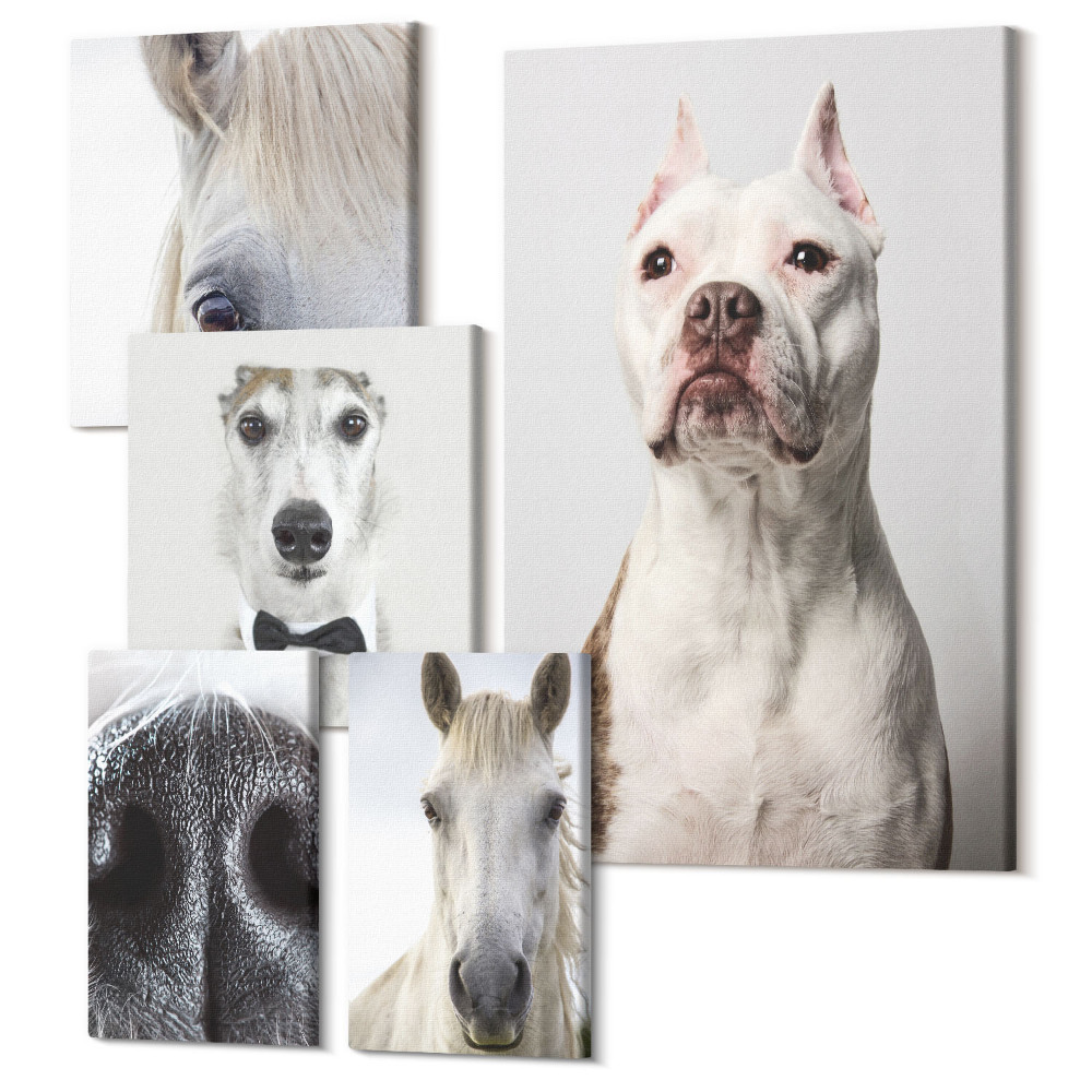 Zestaw obrazów na płótnie pentaptyk Portrety zwierząt domowych w stylu nowoczesnym