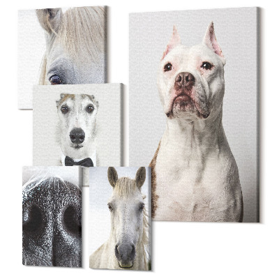 Zestaw obrazów na płótnie pentaptyk Portrety zwierząt domowych w stylu nowoczesnym
