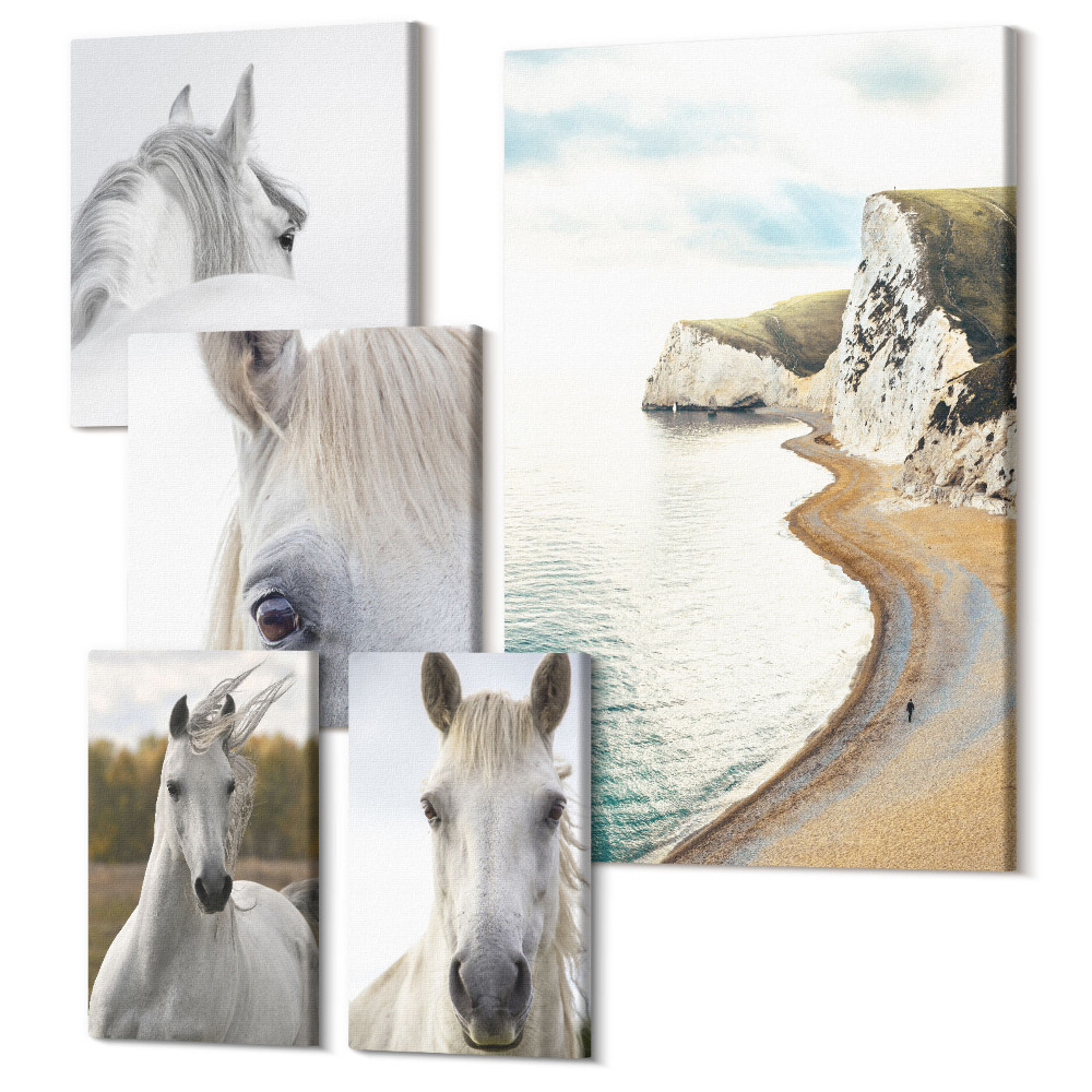 Zestaw obrazów 5 części pentaptyk Konie na plaży i w naturze w stylu minimalistycznym